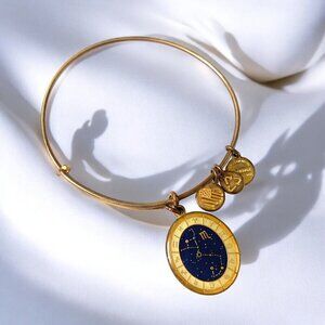 Alex and Ani Scorpio Astrological Charm Bracelet Gold Finish - Expands 2"- 3.5"